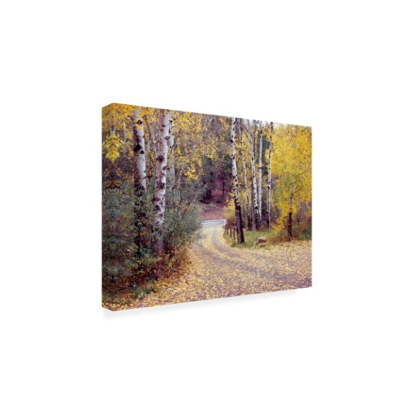 Monte Nagler 'Birch Tree Drive Fence And Road Santa Fe New Mexico' Canvas Art,14x19